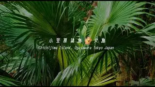 TOKYO PEACE TREASURE ISLANDS - CHICHIJIMA | 東京”真”宝島