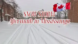 AFTER SNOW STORM JAN. 2026