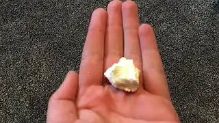 Turn Milk into Plastic