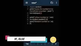 Basic Python Programming, Print, Input, Random Number, If else and While