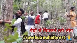 Buxwaha Forest Update News | Save Buxwaha Forest | #savebuxwahaforest
