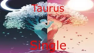Taurus PAST PERSON COULD RETURN! Single reading March 2021