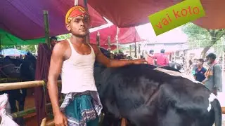 maniknagar haat ar gorur dor dam sunun rubal vai ar kach theka,.. 200 taka hashil ar haat..