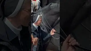 МОНАХИНЯ ХВАТАЕТ ВОЖДЬ ⚠️💂 | Конная гвардия, Королевская гвардия, Королевская гвардия, Лошадь, Ло...
