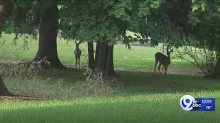 Hunting and trapping licenses for 2018-19 season