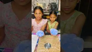 Anu Tanu Roses chesillu 🌹 lastlo😍 #rose #craft #jaggubhai #anutanu #trendingshorts #tomandjerry
