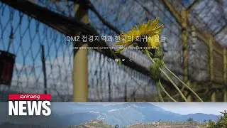 Google opens online exhibition on Korean Demilitarized Zone