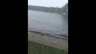 Cactus lake