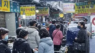 폭설 뚫고 1시간 대기?! 손발 얼어도 포기 못하는 어시장 백반 Korean streer food