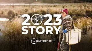 Our 2023 Global Reforestation Impact | One Tree Planted