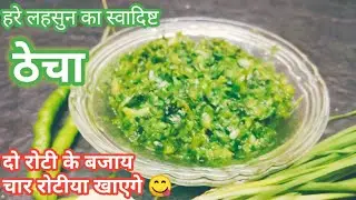 हरे लहसुन का ठेचा एक बार बनाओगे तो दो की बजाय चार रोटीया खाएगे। green garlic thecha recipe