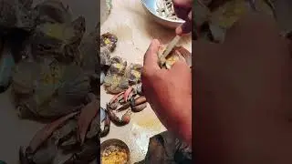 Crab cleaning process to cook #crab #crabcleaning #food  #cleaning #separation #minicrab #subscribe