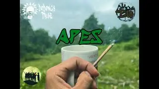 APES by : J-SE3N