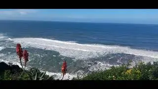 Dolphins point Wilderness South Africa view 2