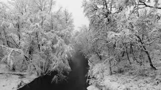 Gales Creek snow 1-12-2017