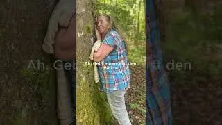 Baumkraft f&uuml;r deine Seele 🌳