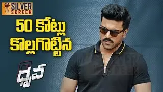 Dhruva Box office Collection : Ram Charan Dhruva Entered In 50 Crore Club | Latest TeluguCinema News