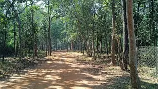 SATKOSHIA SAND RESORT & DEBRIGARH WILDLIFE SANCTUARY PACKAGE TOUR DECEMBER 2025 (PART 2)