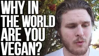 Why Am I Vegan?