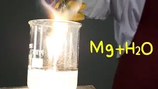 Magnesio y Agua. Reacciones Químicas.