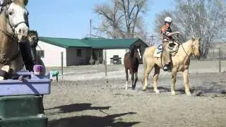Dove's C-K Ranch