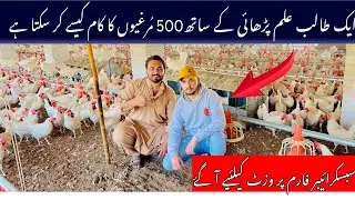 Random Subscribers visit farm for 500 layer chicks 🐣 information | Detailed vlog | انڈوں کا کاروبار