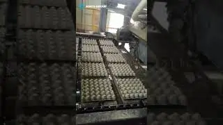 AGICO 5*8  5000pcs/hr Egg Tray Machine with Metal Drying line