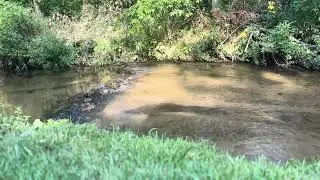 Trout stream calm sounds