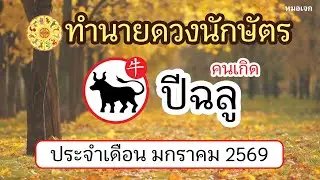 ดวงคนเกิดปีฉลู ทำนายดวงนักษัตร เดือน มกราคม 2569