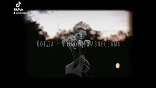 Цитата