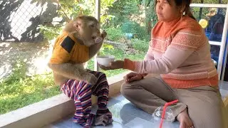 Smart Jason Contented Sit Neatly To Eat Dessert With Mom Convince