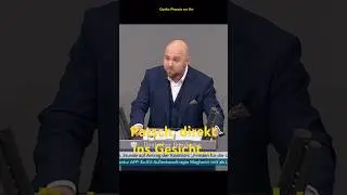 #frohnmaier verteilt verbale Schellen&hellip; ⚡️👏🏻