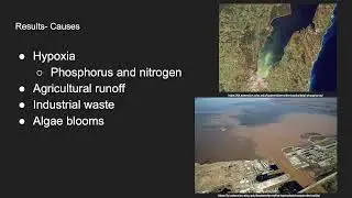 Causes and Effects of the Green Bay Dead Zone- Wisconsin Geographies Final Project