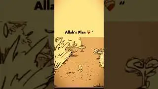 Allah's Plan ❤️ #explore #allahplan #successmindset #shortvideo #foryou #selfrespect #sabar