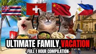 Cat MEMES: FAMILY VACATION FULL COMPILATION