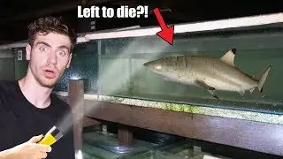 BREAKING INTO ABANDONED AQUARIUM! (LIVE SHARK FOUND!) 😱