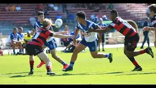 2019 Harold Matthews Season Highlights