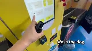 Self service dog washing machine OQC, dog washing machine ready to ship