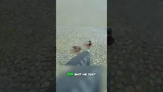Duck Attack! My Bad: Travel Recap & Cobblestone Chaos