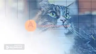 Заставка AndreyProductionStudio | Splash screen of AndreyProductionStudio