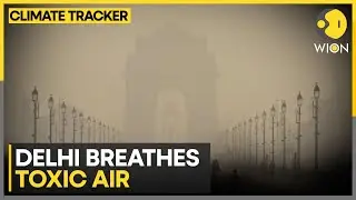 Delhi Air Pollution: Delhi Witnesses Toxic Layer of Smog for Another Day | WION Climate Tracker