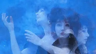 Kate Bush - Cloudbusting (The Organon Mix)