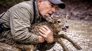 A Man Finds a Fawn Trapped in Mud | Heartwarming Rescue Story #deer #animals #rescue