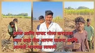 आज जात आहे पाचट गोळा करायला