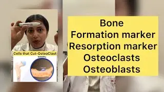 How to Test Your Bone Health: Understanding Bone Turnover Markers