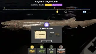 НОВЫЕ ФАРМЫ СЕРЕБРА и РАЗДАЧИ ТРОФЕЕВ! СВОДКА по ВОДОЁМАМ на 27.01 в Русской Рыбалке 4! РР4