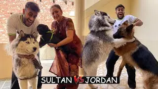 Surprising My Mom with Sultaan 😱