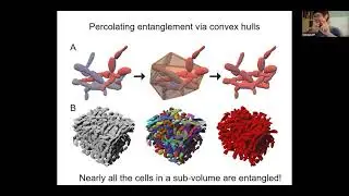 Contributed Talks 7: Experimental Evolution