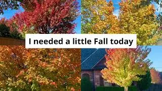Autumn Splendor