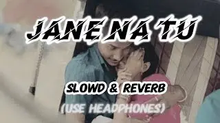 Jane na tu | lofi song | love❤#love #lofimusic #lofisong 
